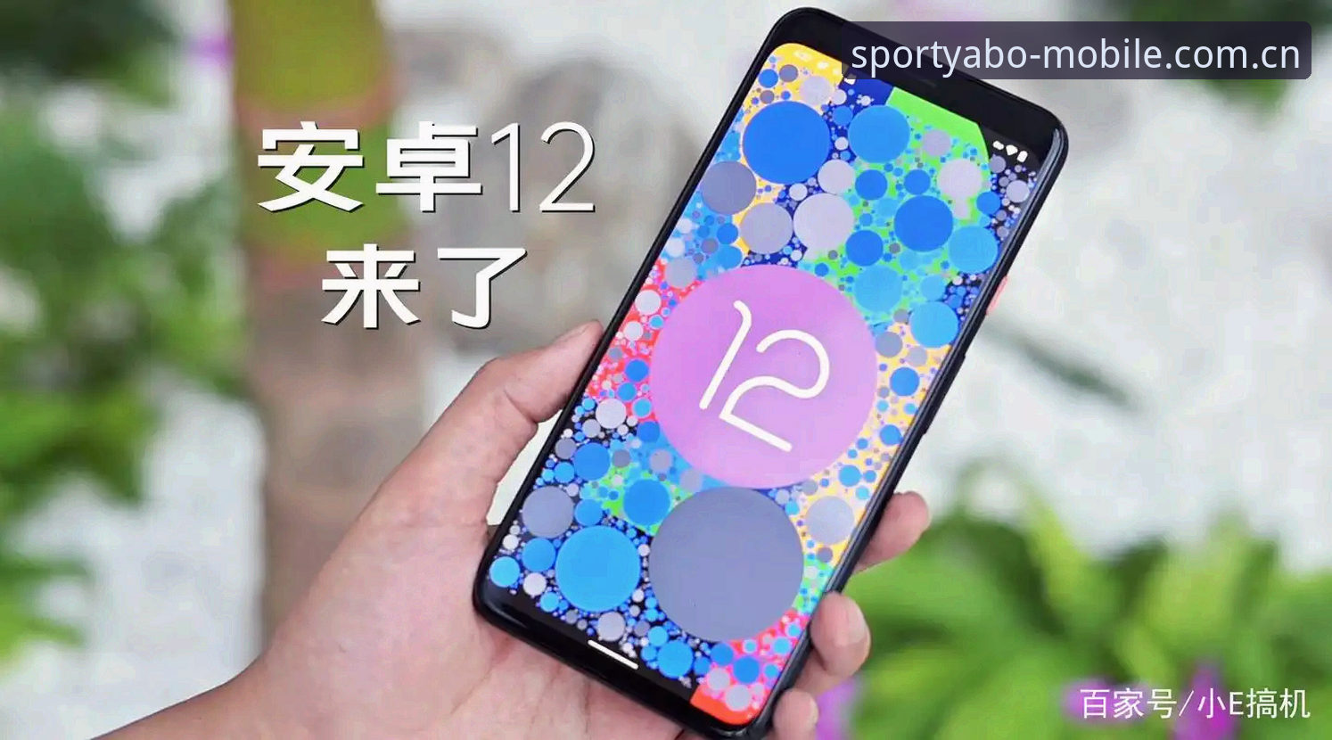 亚博体育最新版本对比实用指南：v3.2.0版本升级亮点与选择策略